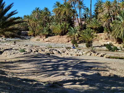 Mobiketours Marokko Tourarchiv Januar 2011, Seite 1, Bild 9: Enduroreise zwischen Atlas und Sahara